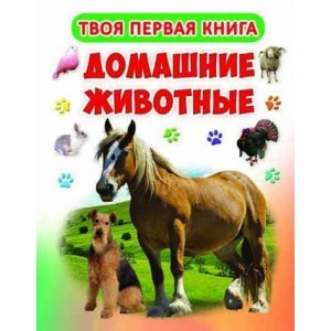 Книжка-картонка А-4 "Твоя перша книга. Домашні тварини" (рос.) (9789669363916)