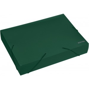 Папка-бокс пластиковая А4 на резинках Economix, 60 мм, фактура бриллиант, зеленая
