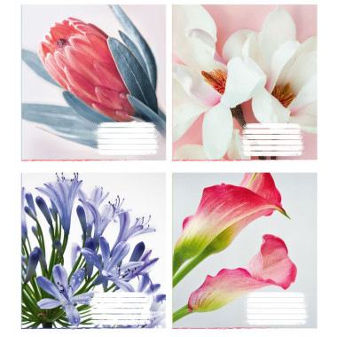 Тетрадь ученическая полноцветная общая 48 л., клетка. "Хорошие цветы"