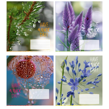 Тетрадь ученическая полноцветная общая 48 л., клетка. "Великолепный день"