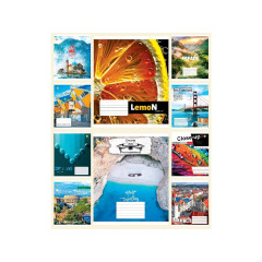 Зошит 96 арк. клітинка Люкс ТЕ11744 Мікс 1, 10/120 10к.