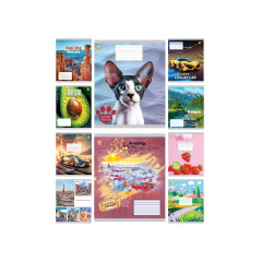 Зошит 24 арк.клітинка Тверда ТЕ41301 Мікс 2, 20/320