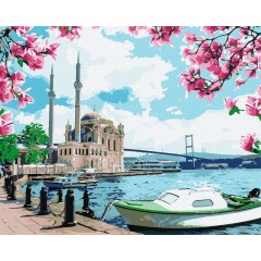 Картина по номерам Яскравий Стамбул 40х50см