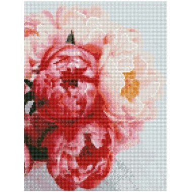 Алмазна картина HX046 Квітучі піони, розміром 30х40 см